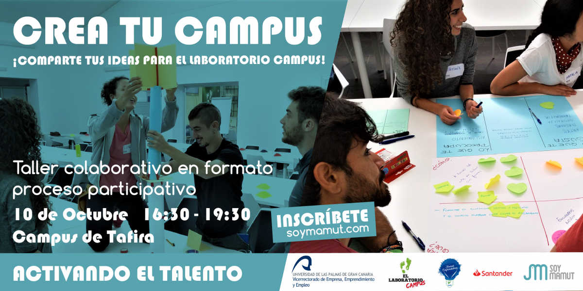 Cartel de la actividad