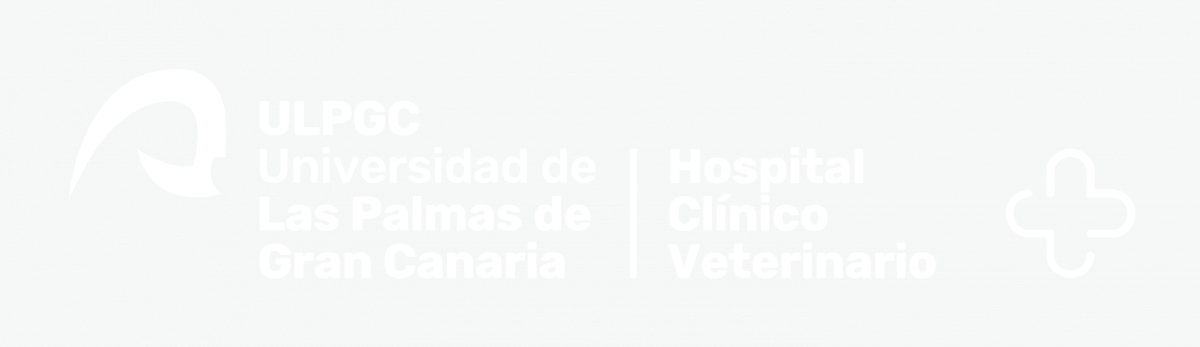 Versión horizontal de uso cotidiano blanca