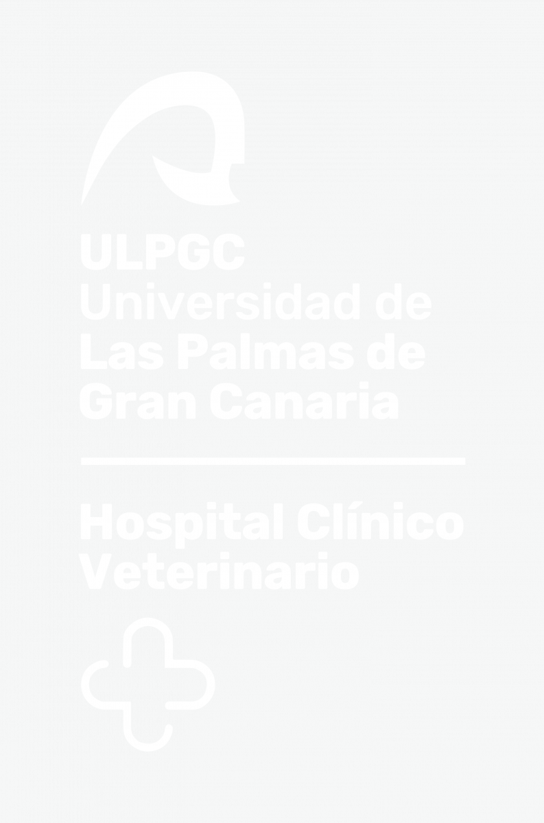 Versión vertical de uso cotidiano blanca