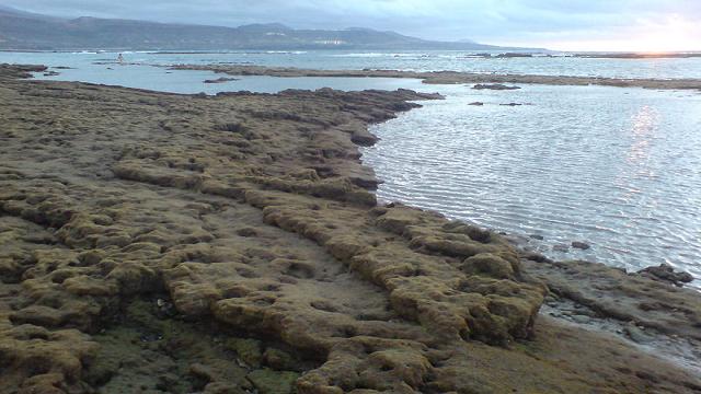 Imagen de la barra en la playa de Las Canteras