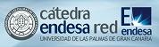 Logo de la Cátedra Endesa Red de la ULPGC