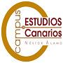 Logo del Campus de Estudios Canarios Néstor Álamo