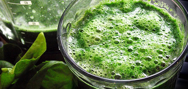 Spirulina Spirulina