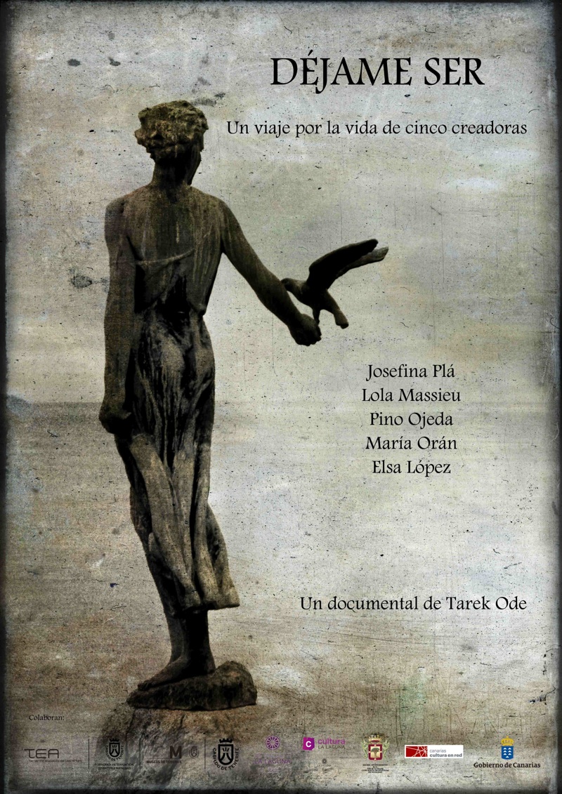 Cartel del documental