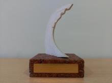 Premios 'Océanos' 2016