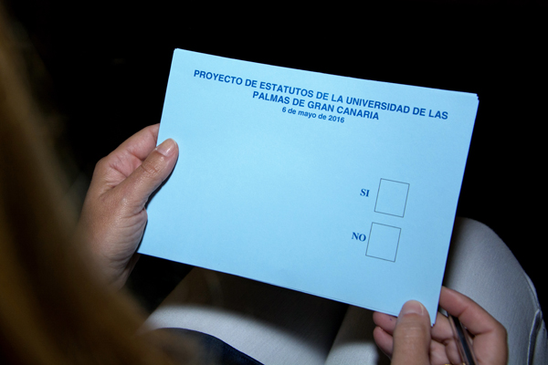 Detalle de la sesión extraordinaria del Claustro para la votación final