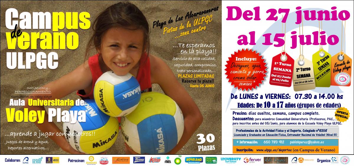Cartel de la actividad