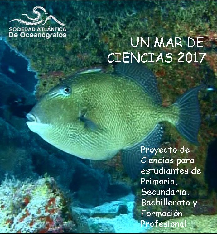 Cartel del concurso