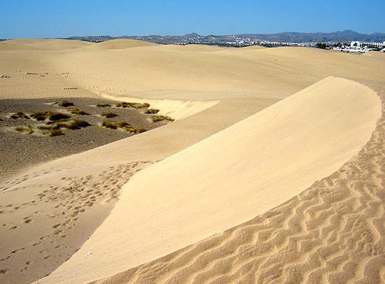 Imagen de archivo de las dunas de Maspalomas. Foto: Pedro J. Pérez