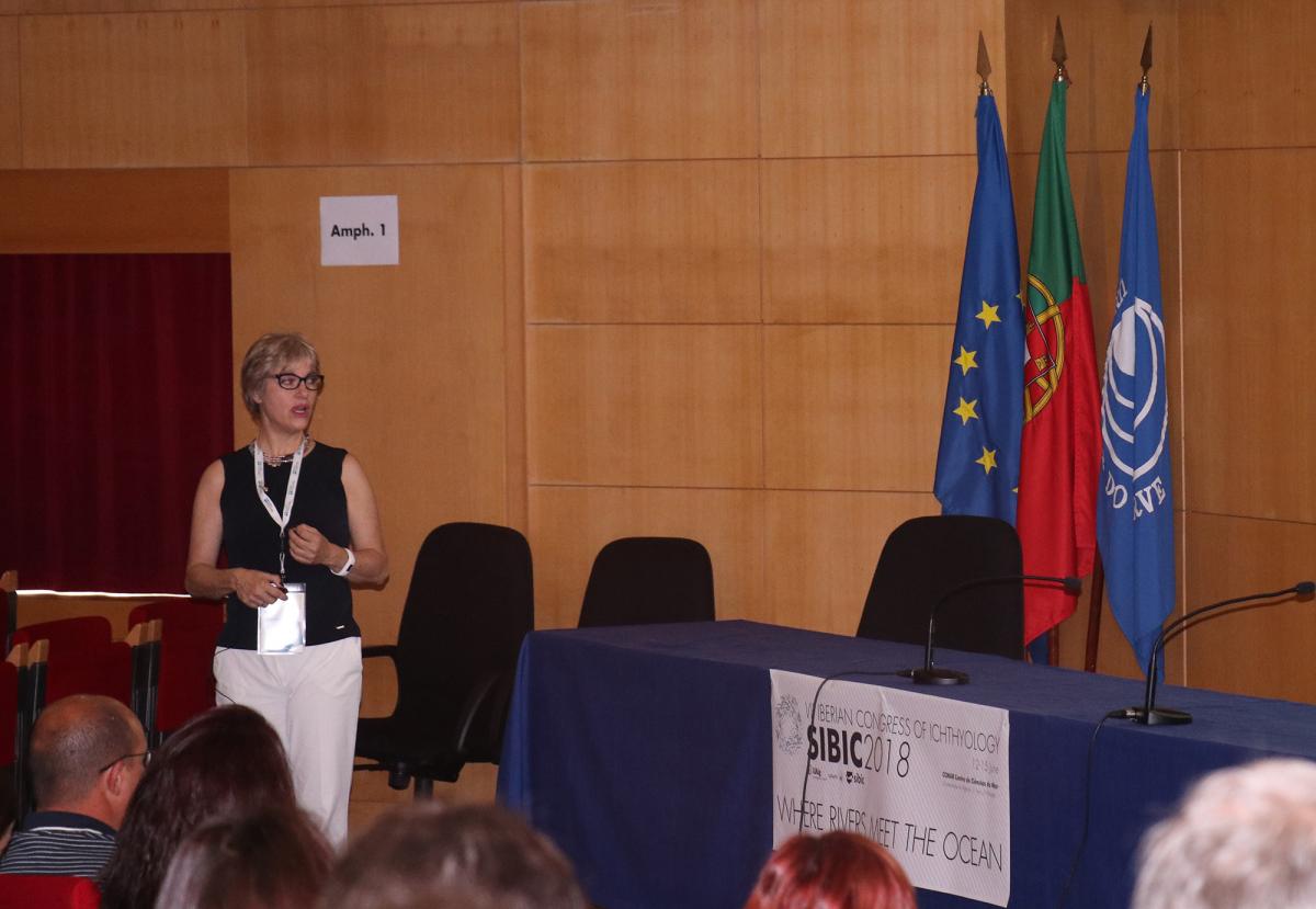 Marisol Izquierdo durante su intervención en el SIBIC 2018