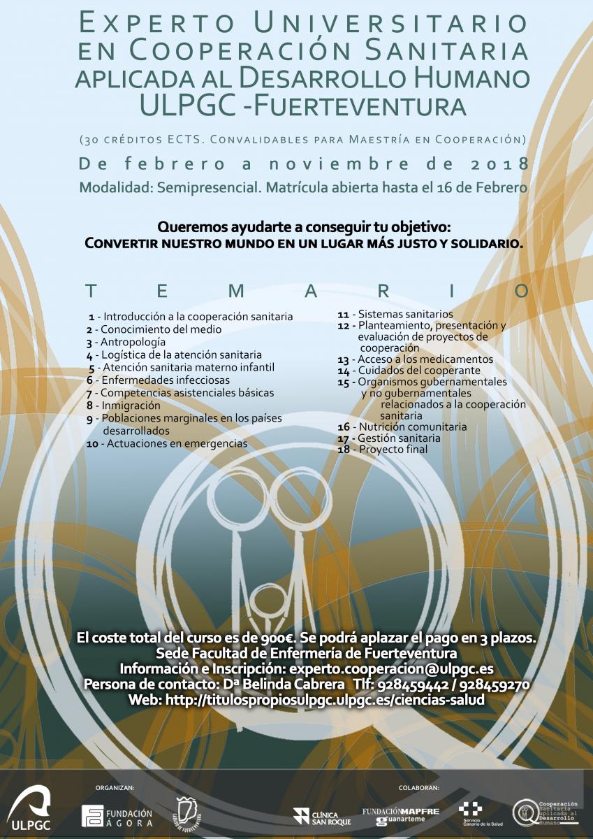 Cartel del Experto Universitario