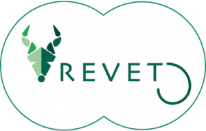 Logo del proyecto 