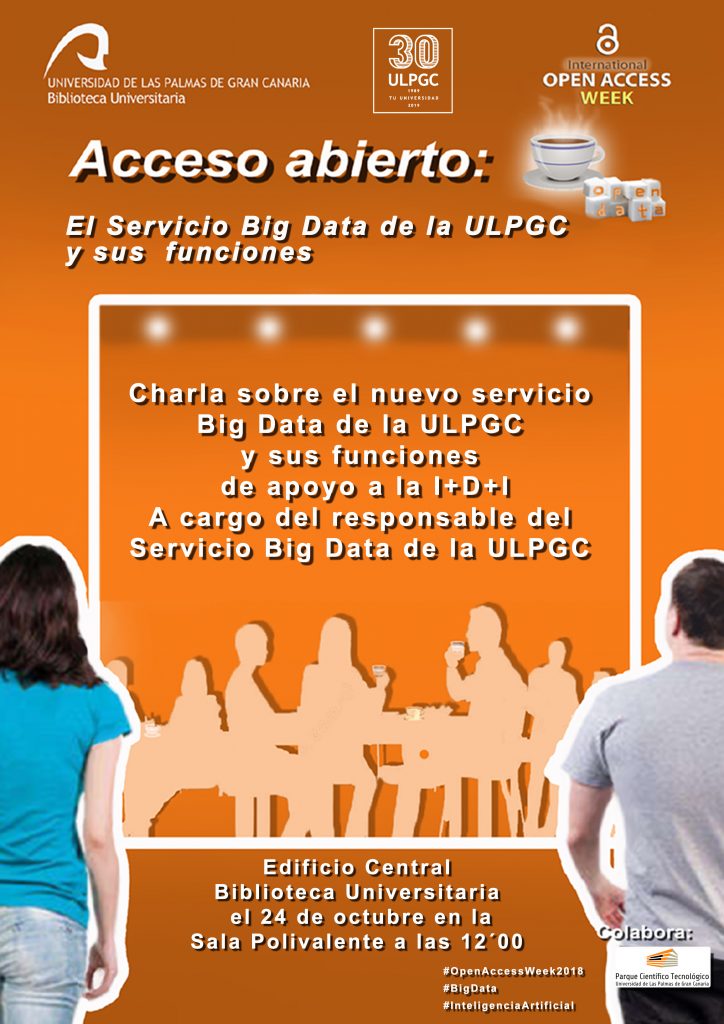 Cartel de la actividad