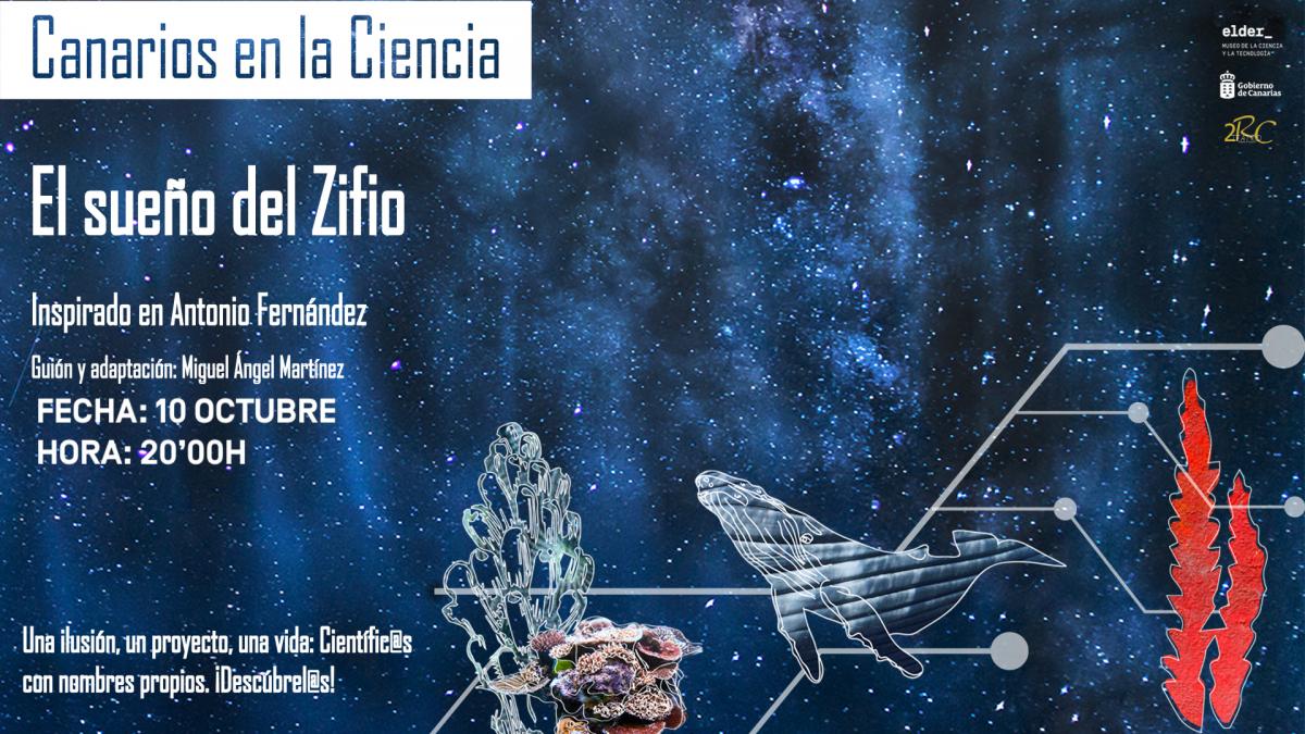 Cartel de la actividad