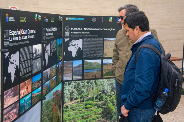 Imagen de la exposición instalada en la Sede Institucional de la ULPGC