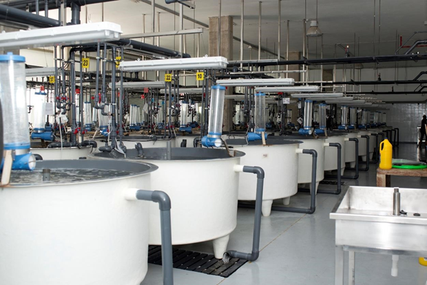 tanques wwssu ecoaqua