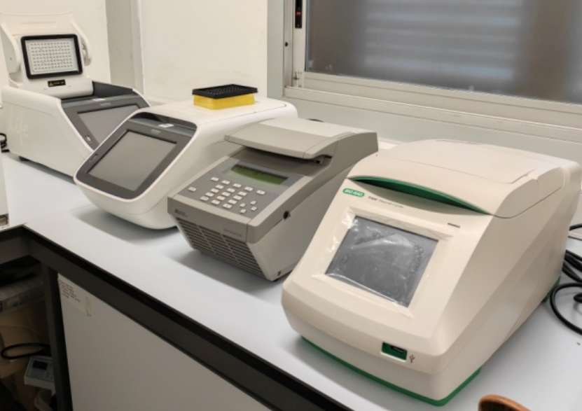 Termocicladores Biomol