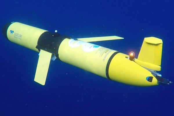 Imagen del glider BIO