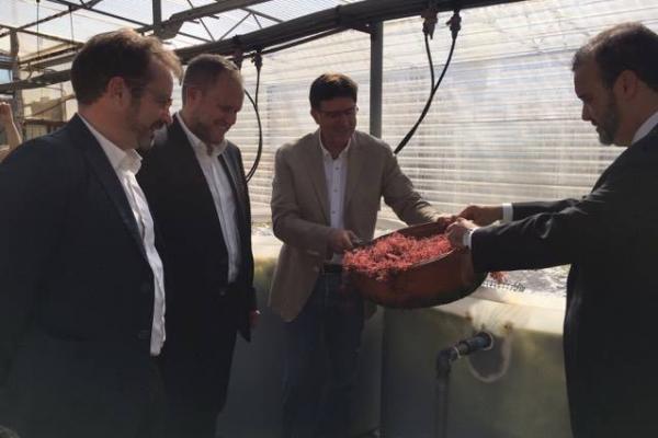 Imagen de la visita al Banco Español de Algas