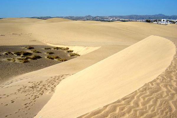 Foto de archivo de las Dunas de Maspalomas. IMAGEN: Pedro J. Pérez