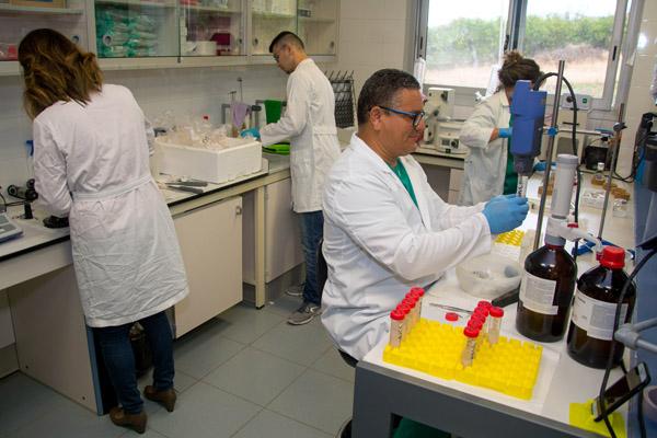 Imagen del laboratorio ubicado en el Campus de Montaña Cardones de la ULPGC