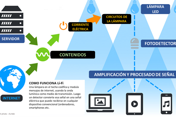 Diagrama sobre el proyecto facilitado por los investigadores