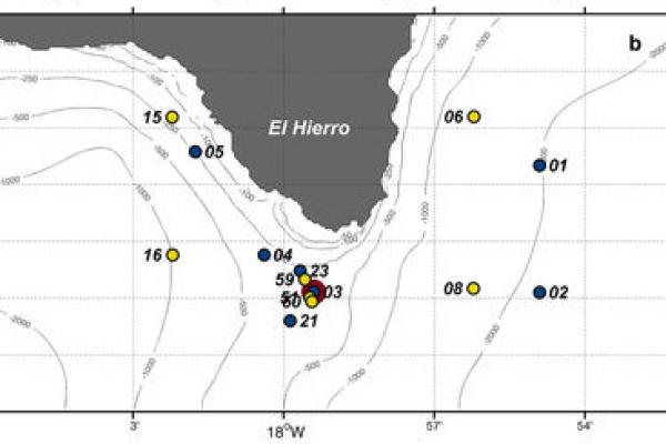 Imagen incluida en la investigación