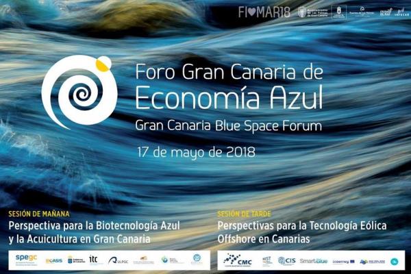 El Mar De Canarias Polo De Atraccion De Talento Y Futuros Inversores En I D I Ulpgc Universidad De Las Palmas De Gran Canaria