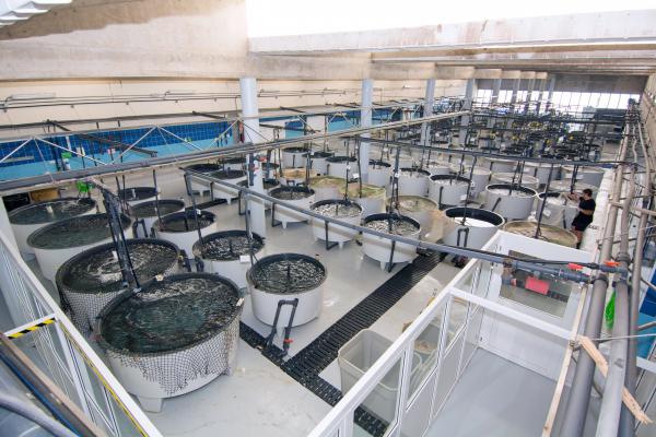 Planta de ECOAQUA en el Parque Científico Tecnológico de Taliarte