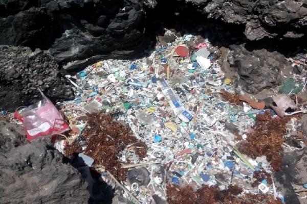 La ULPGC participa en un estudio científico que revela contaminación por  plásticos en 8 playas de Tenerife | ULPGC - Universidad de Las Palmas de  Gran Canaria